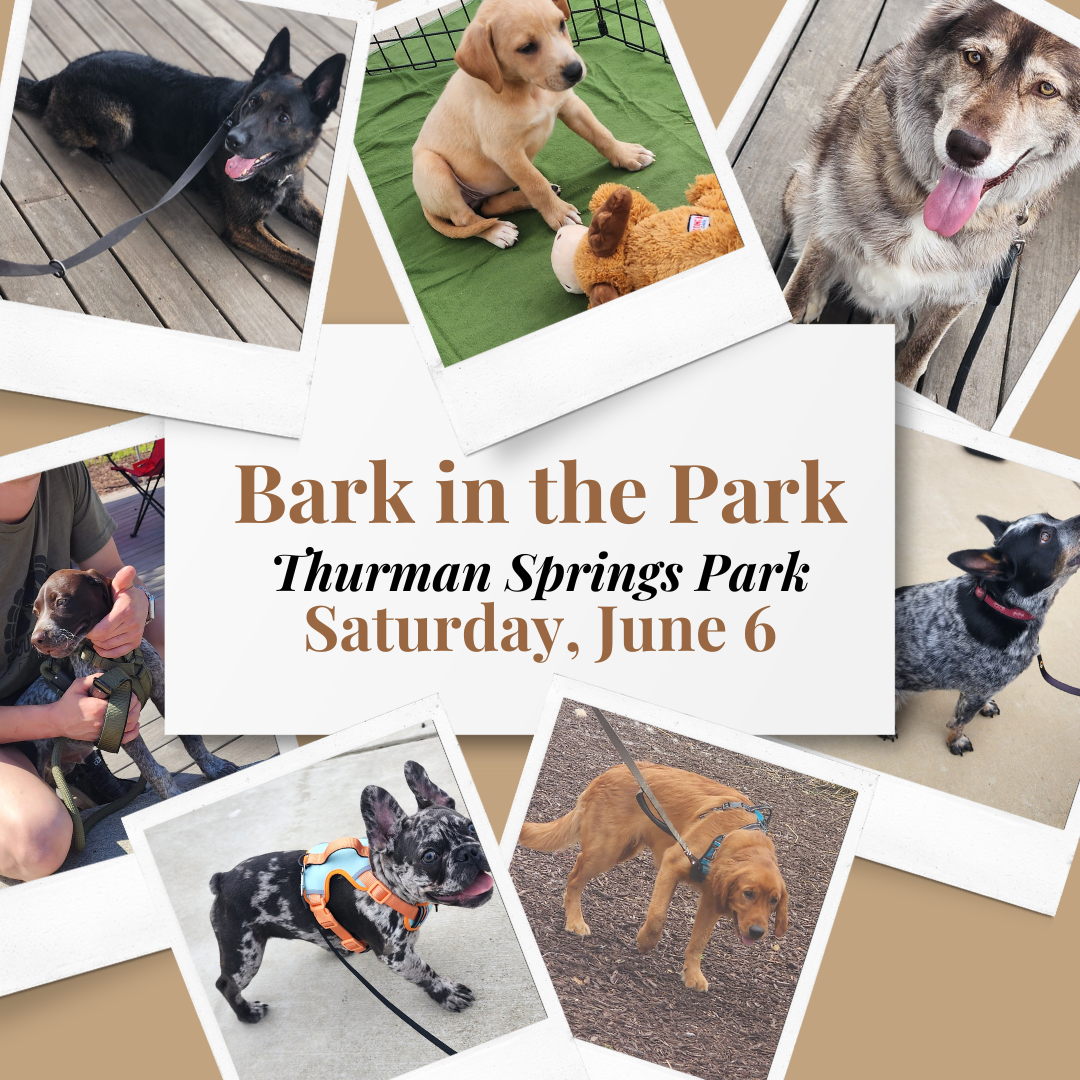 Bark in the Park